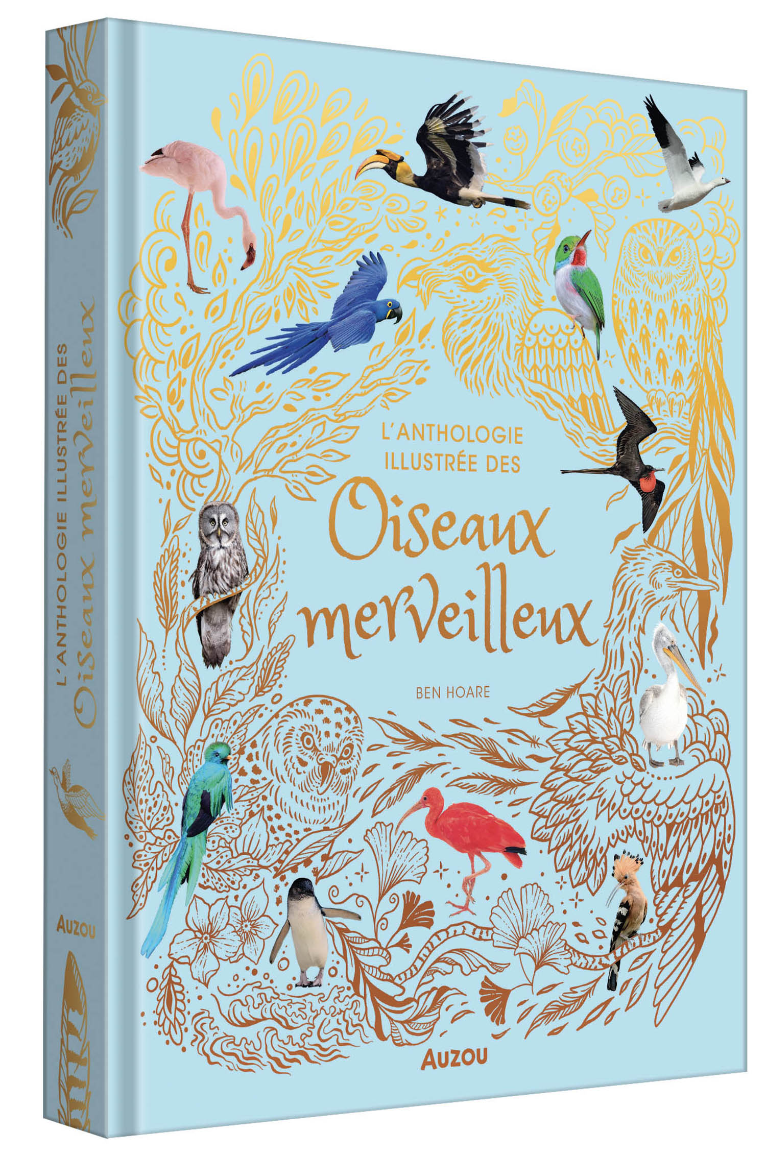 L'anthologie Illustrée Des Oiseaux Merveilleux L'anthologie Illustrée Des Oiseaux Merveilleux