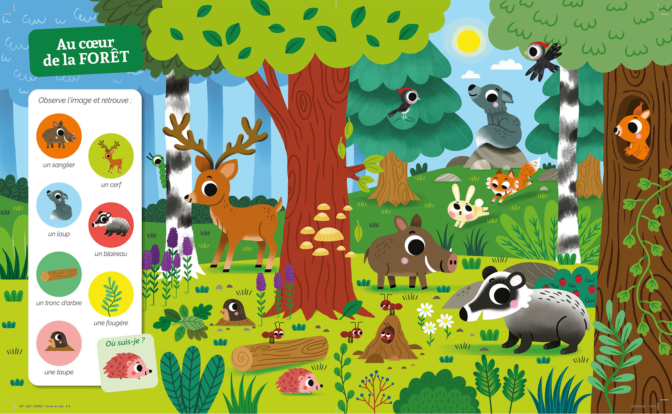 Cherche Et Trouve Des Tout-Petits - Dans La Forêt Cherche Et Trouve Des Tout-Petits - Dans La Forêt