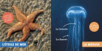Mon Premier Doc Photo  - Les Animaux De La Mer