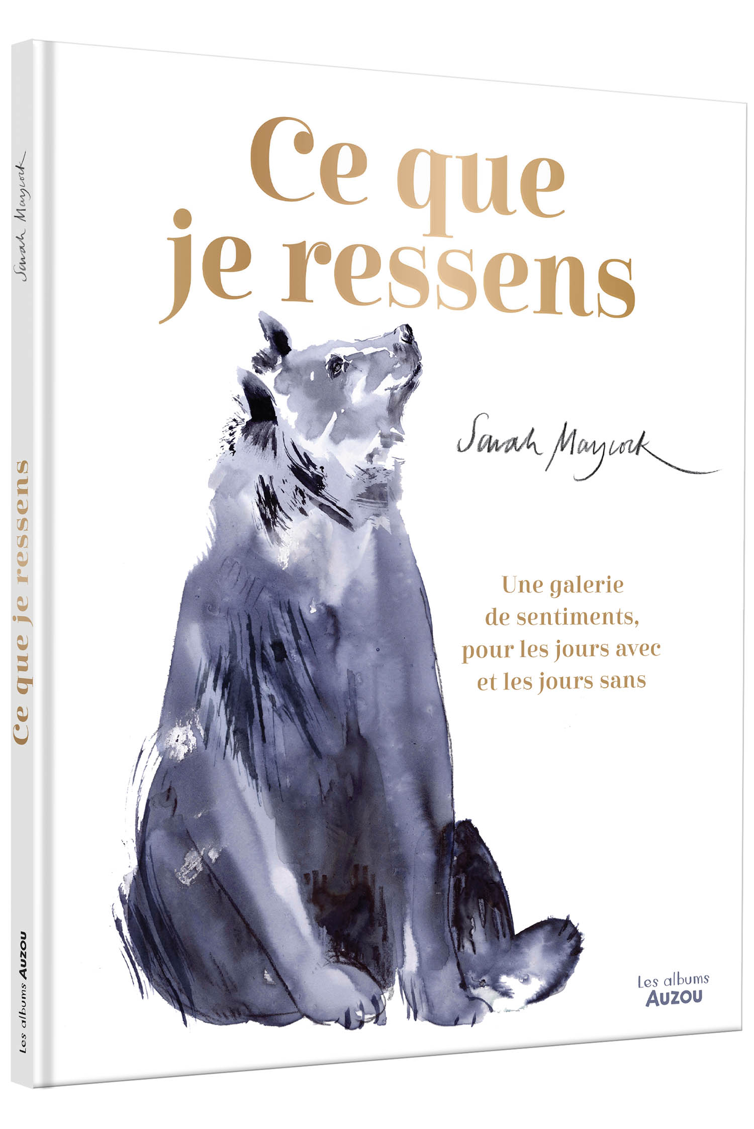 Ce Que Je Ressens Ce Que Je Ressens