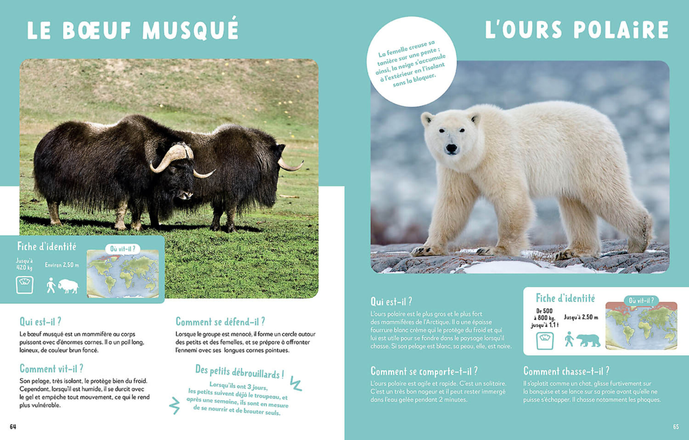 Mon Premier Doc Photo  - Mon Très Grand Animalier