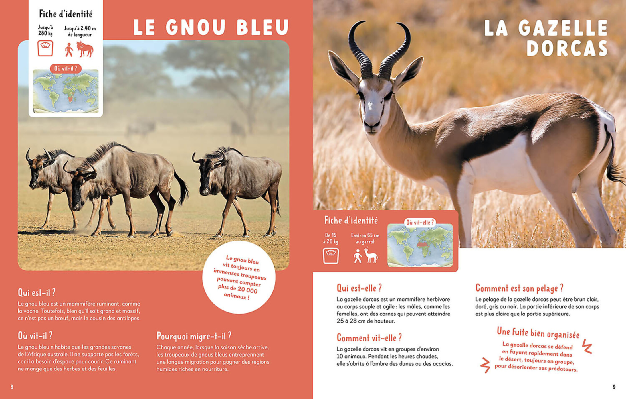 Mon Premier Doc Photo  - Mon Très Grand Animalier