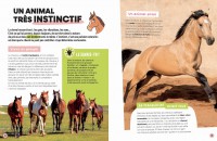 Ludoc' - Découvrir Et Collectionner : Les Chevaux