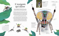 L'anthologie Insolite De La Nature Étrange Et Mystérieuse L'anthologie Insolite De La Nature Étrange Et Mystérieuse