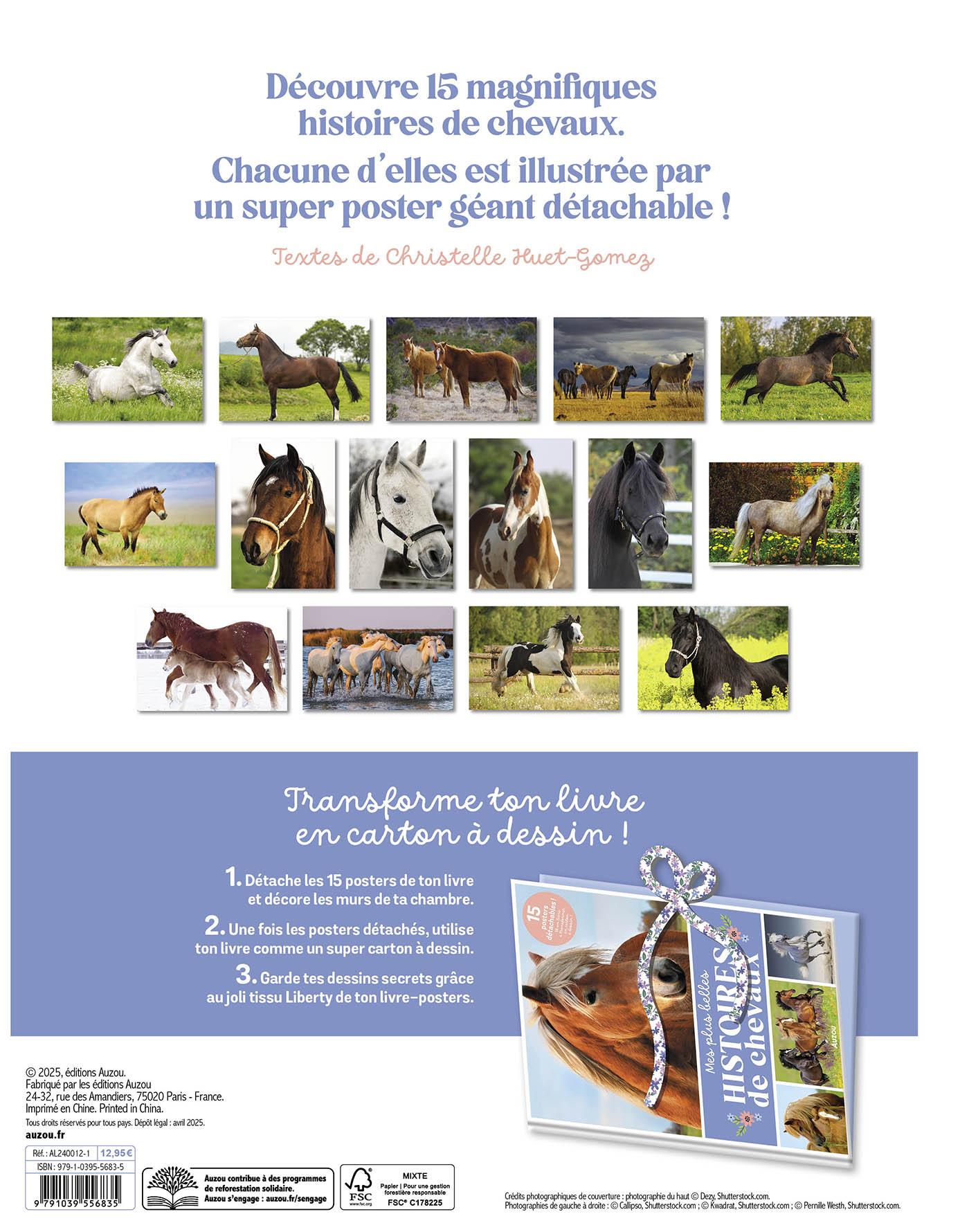 Livre-Poster : Mes Histoires De Chevaux
