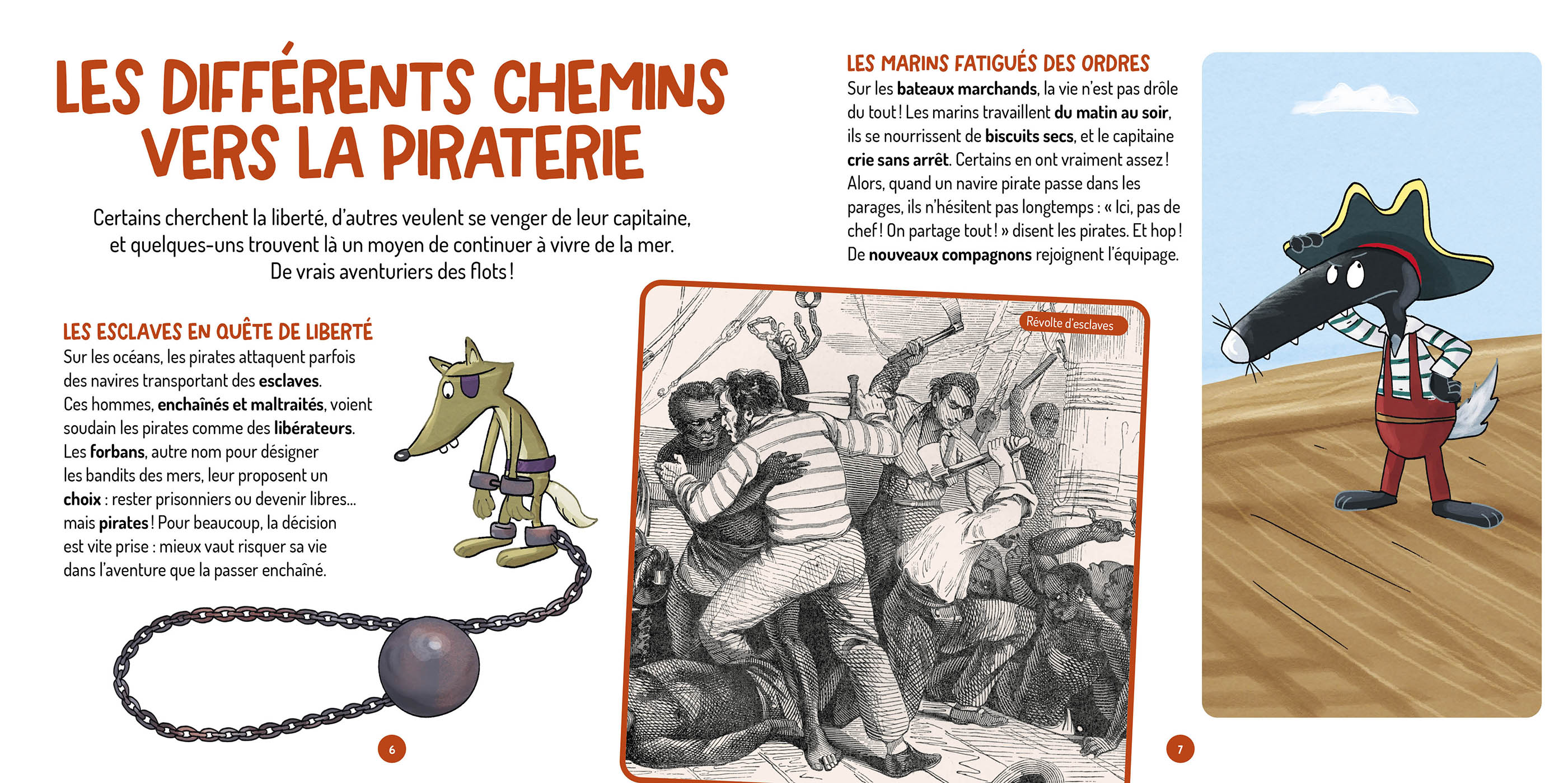Les Questions De Loup - Les Pirates