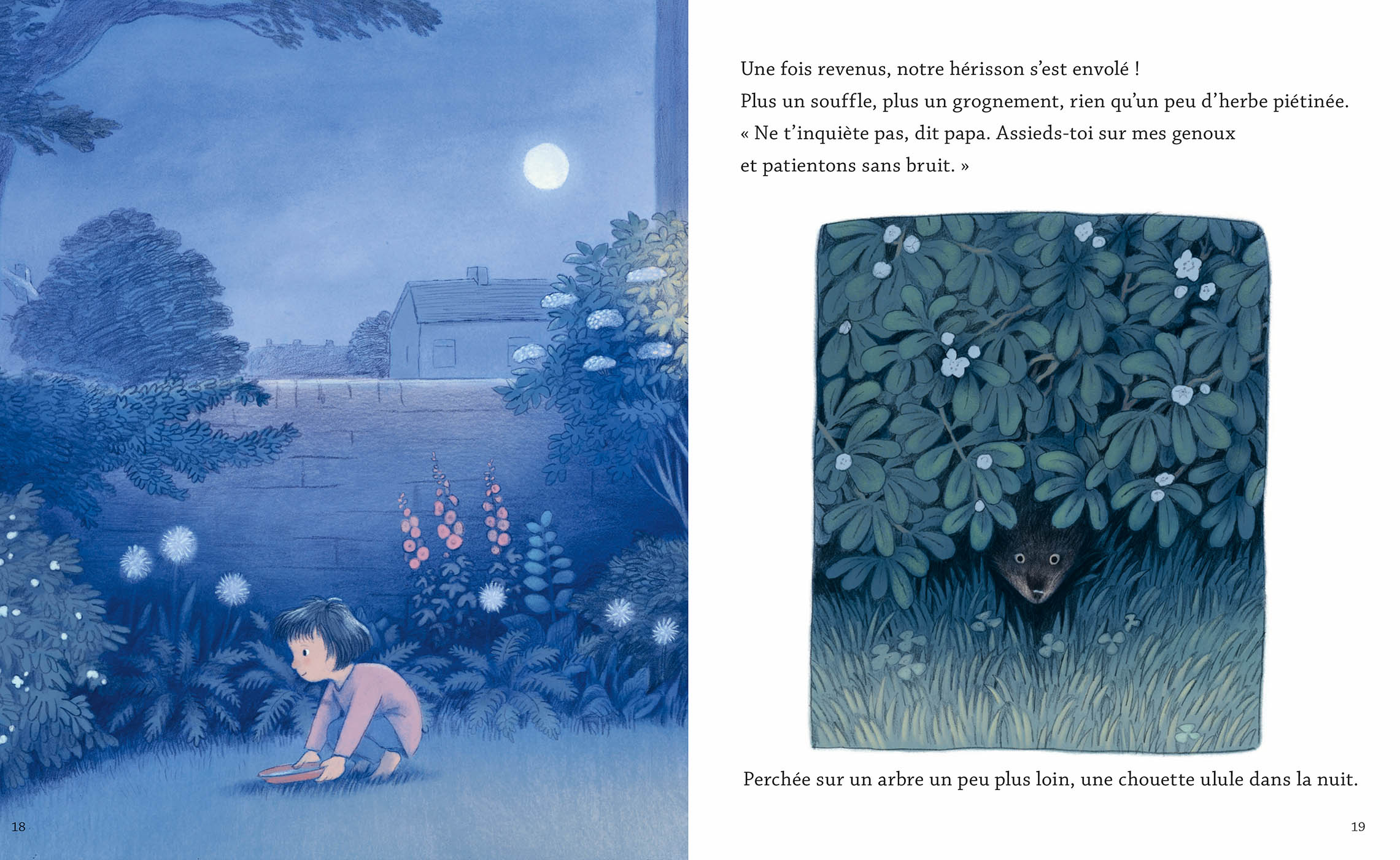 La Nuit Du Hérisson La Nuit Du Hérisson