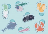 Ma Pochette De 100 Gommettes - Animaux De La Mer