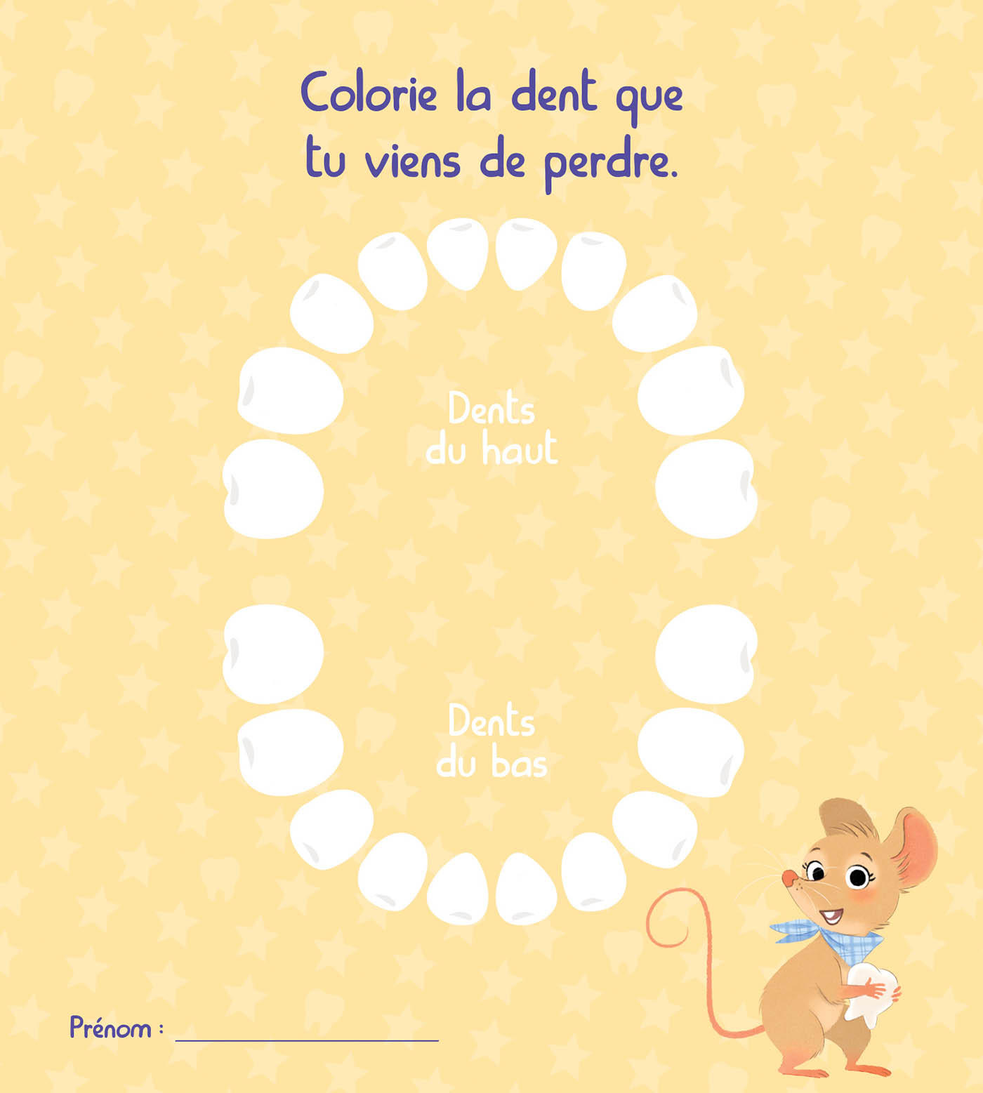 Mon Coffret Grisette : 2 Histoires Et 1 Boîte À Dent