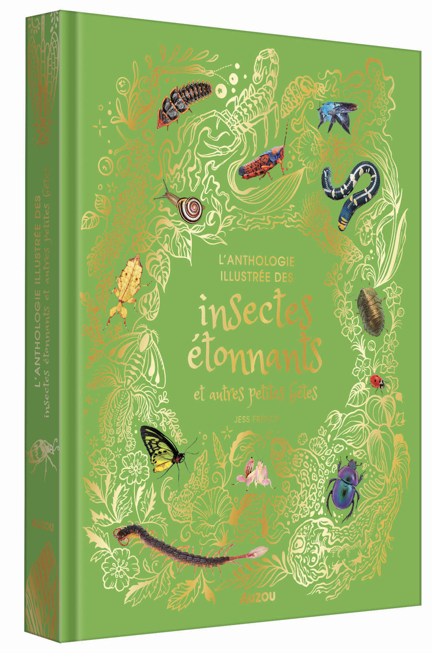 L'anthologie Illustrée Des Insectes Étonnants Et Autres Petites Bêtes