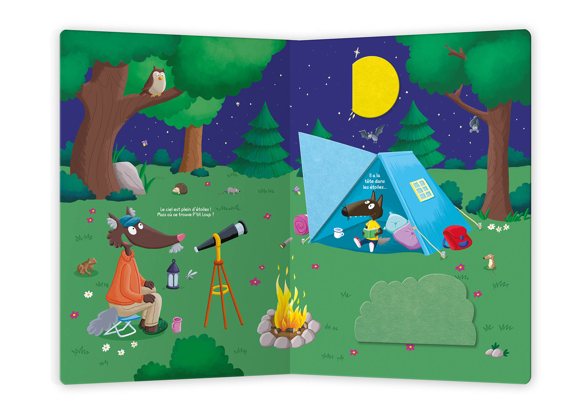 Cache-Cache P'tit Loup