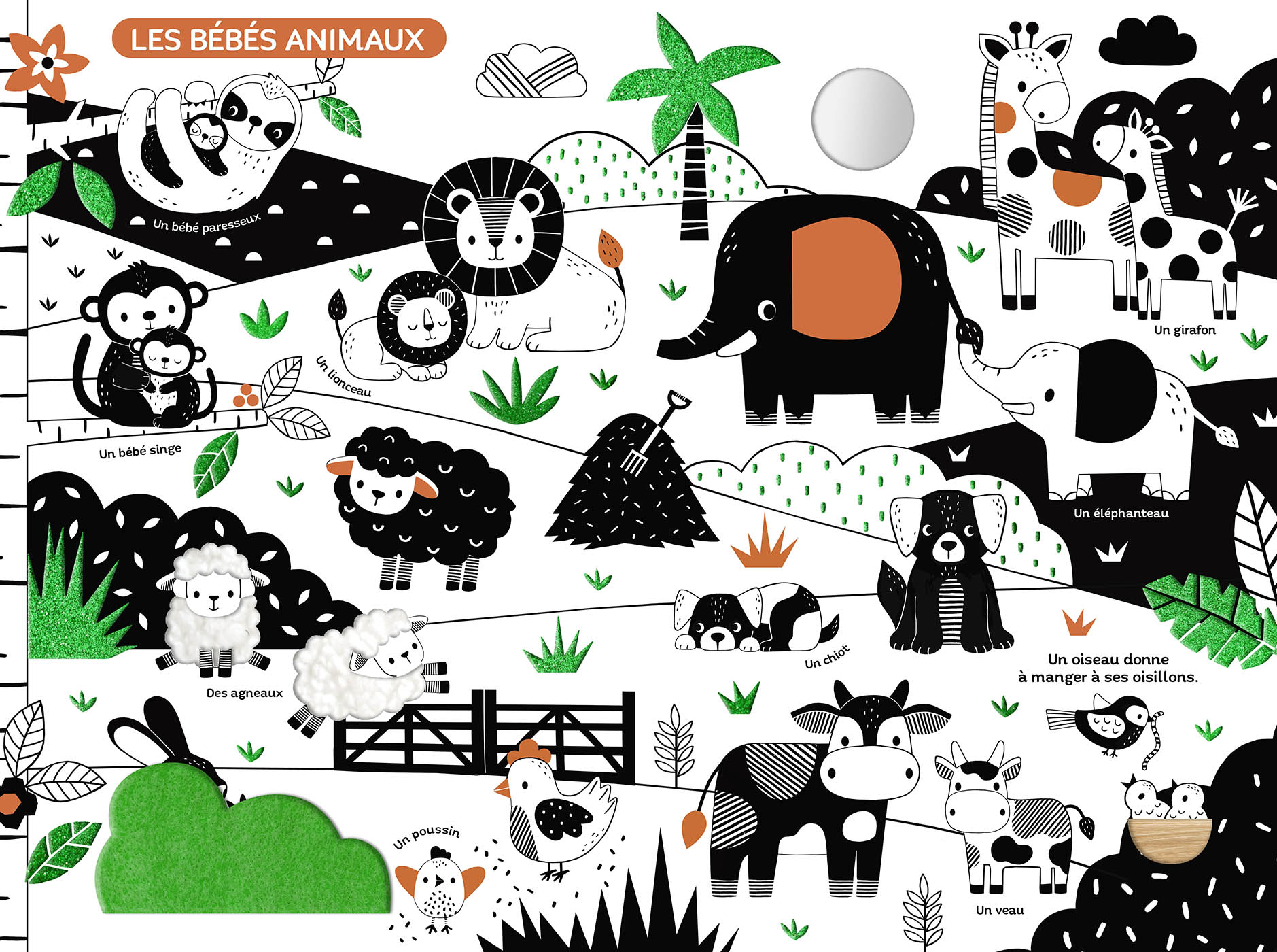 Mon Très Grand Livre D'éveil En Noir Et Blanc