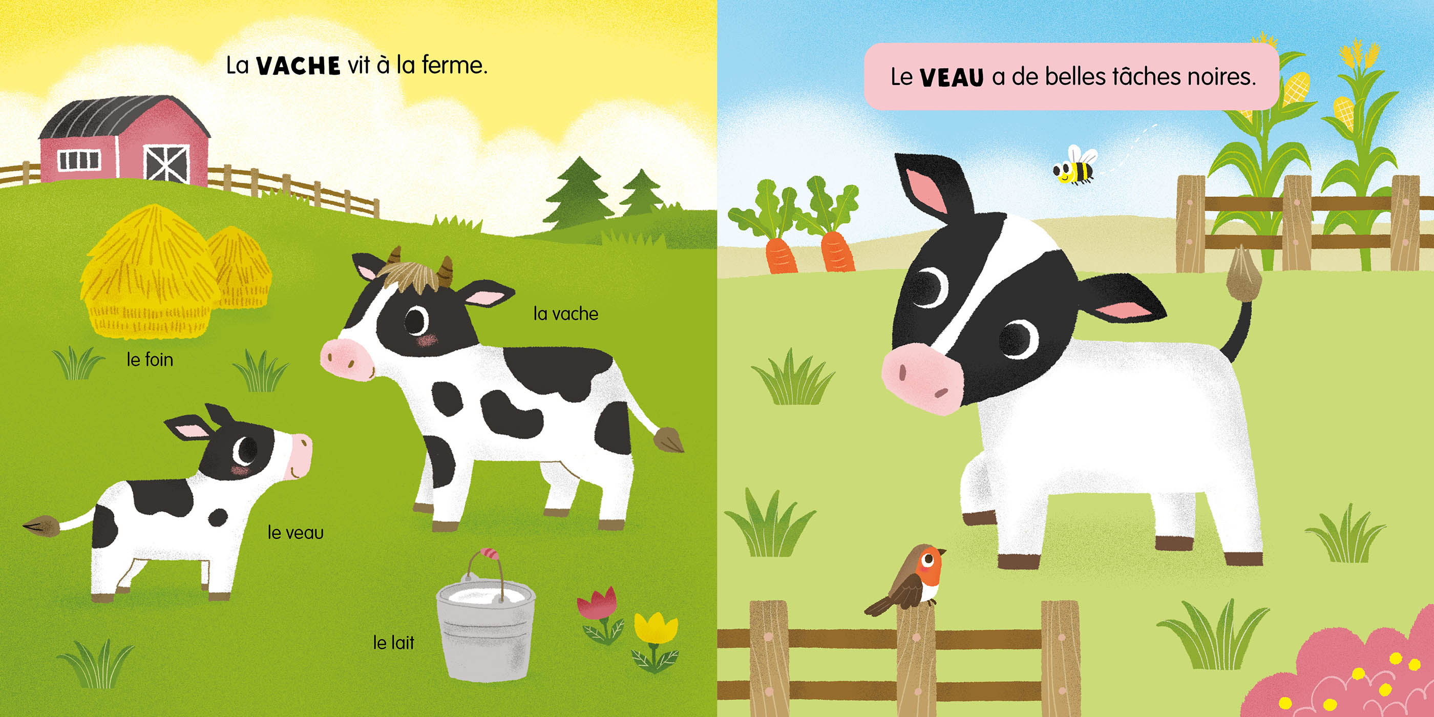 Mon Anim'agier - Les Bébés Animaux