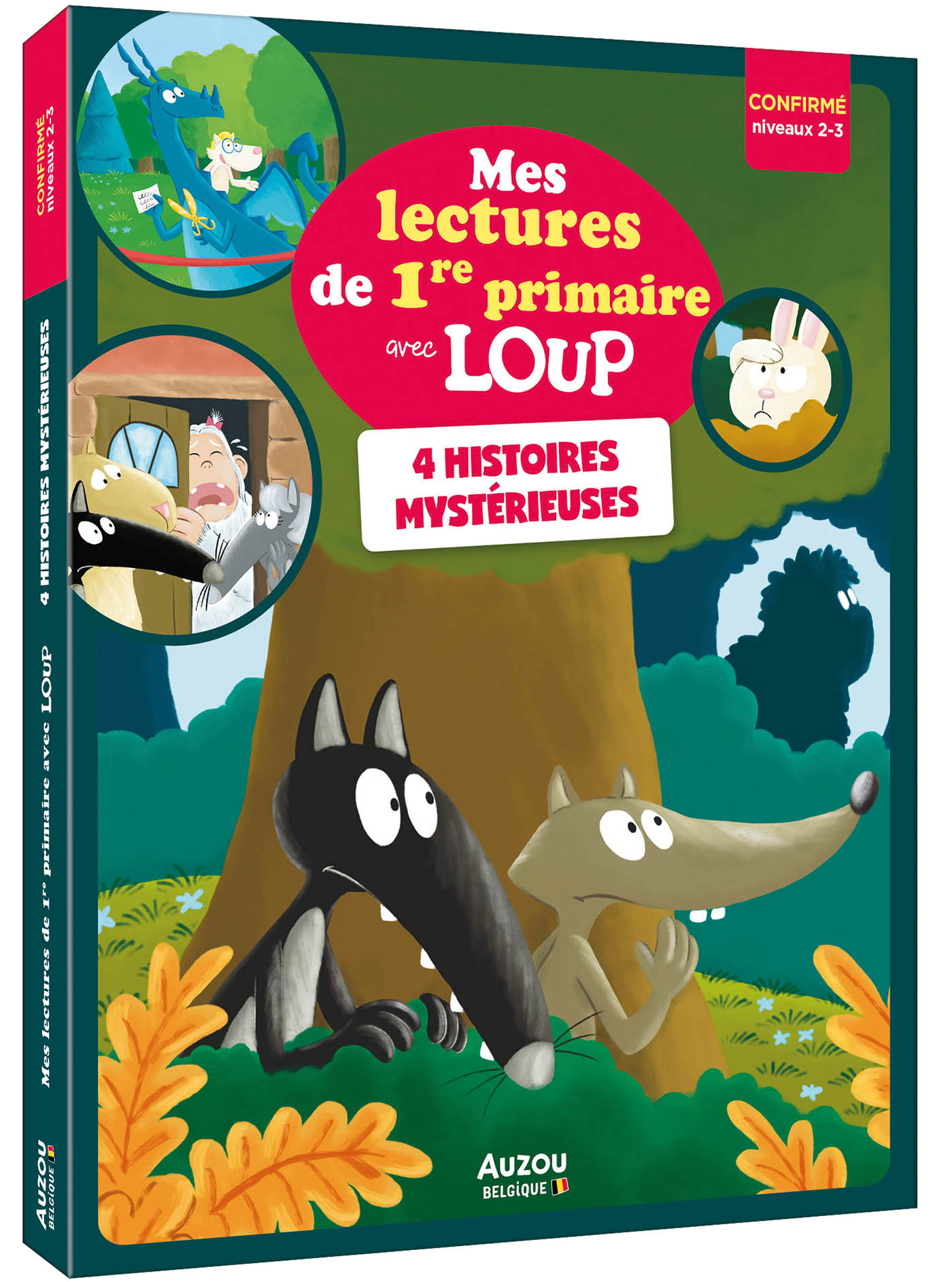Mes Lectures Du Cp Avec Loup - Quatre Histoires Mystérieuses