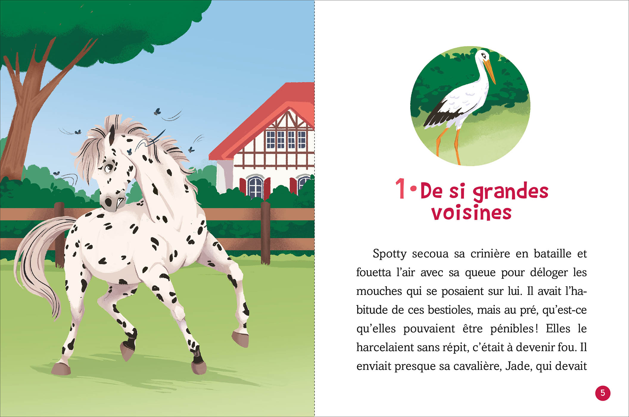 Coffret Bibliothèque 1 - Jade Et Les Chevaux - Tomes 1 À 3