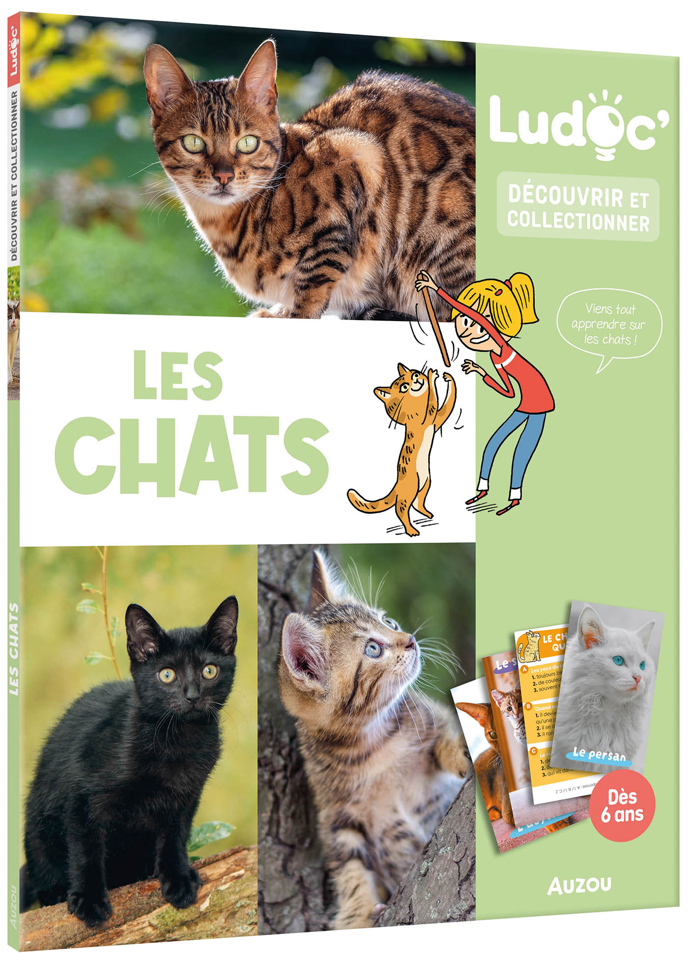 couverture de : Les chats