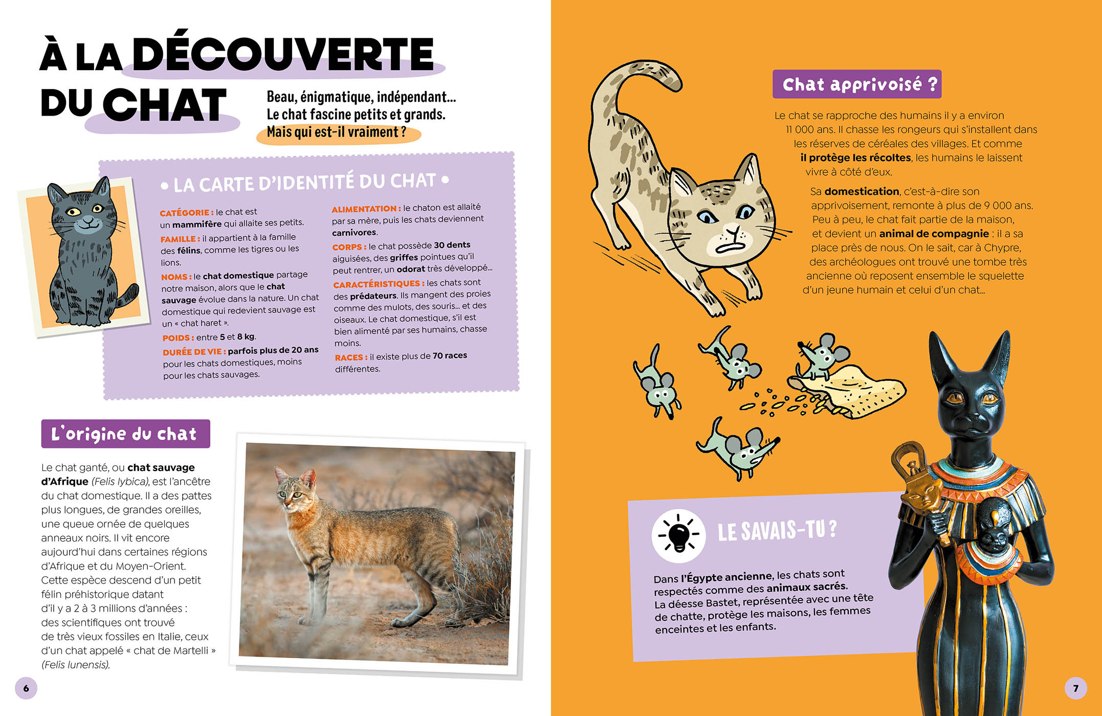 Ludoc - Découvrir Et Collectionner - Les Chats Ludoc - Découvrir Et Collectionner - Les Chats