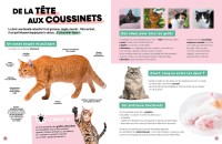 Ludoc - Découvrir Et Collectionner - Les Chats Ludoc - Découvrir Et Collectionner - Les Chats