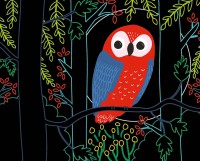 Ma Pochette D'artiste - Cartes À Gratter - Forêt