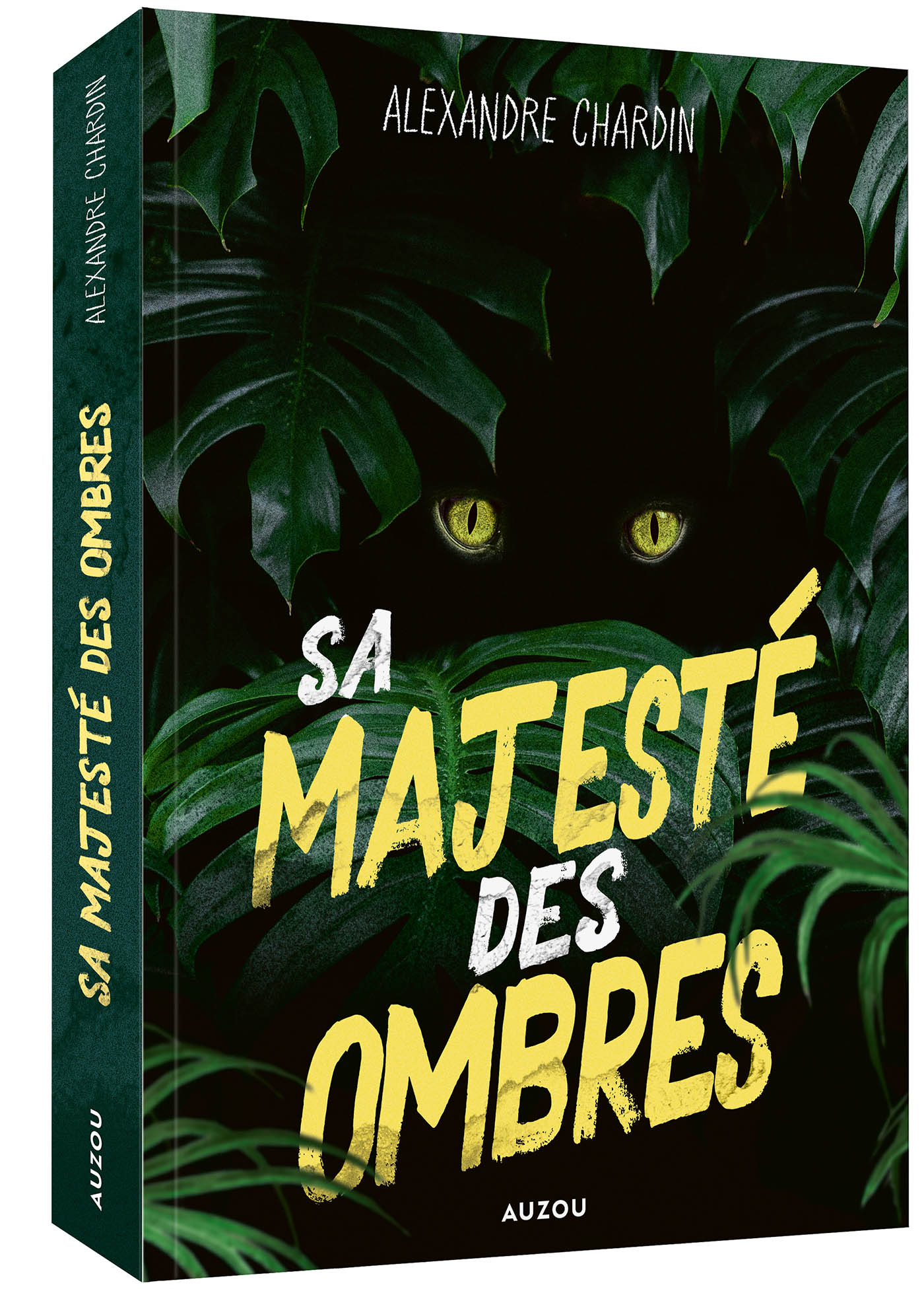 Sa Majesté Des Ombres