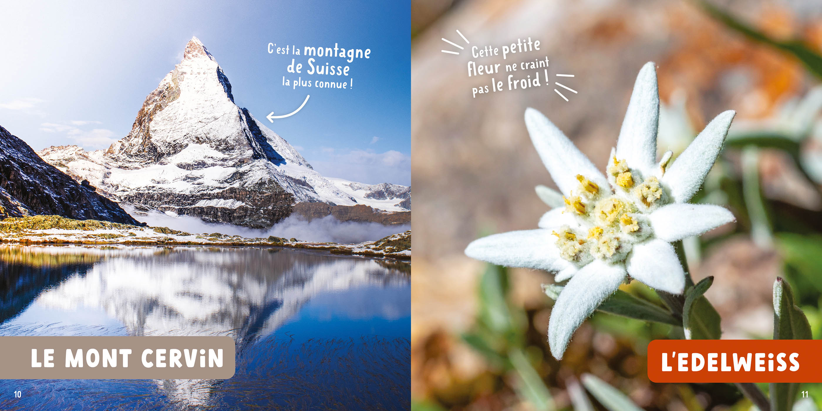 Mon Premier Doc Photo - Mon Premier Doc Photo  - La Nature En Suisse