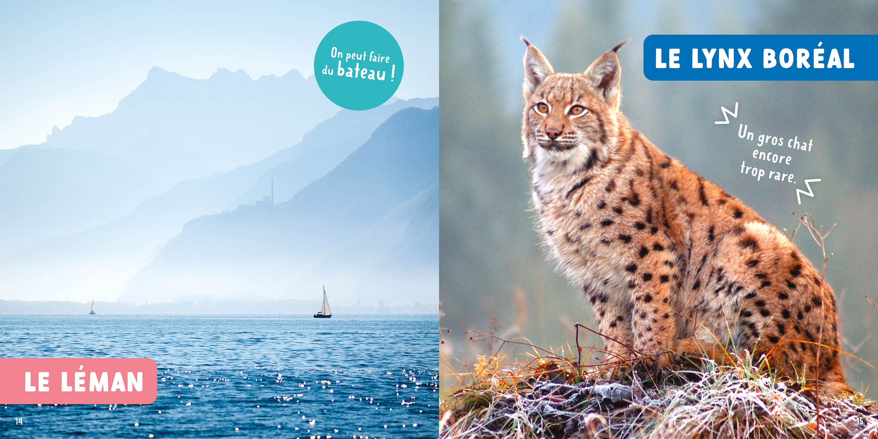 Mon Premier Doc Photo - Mon Premier Doc Photo  - La Nature En Suisse