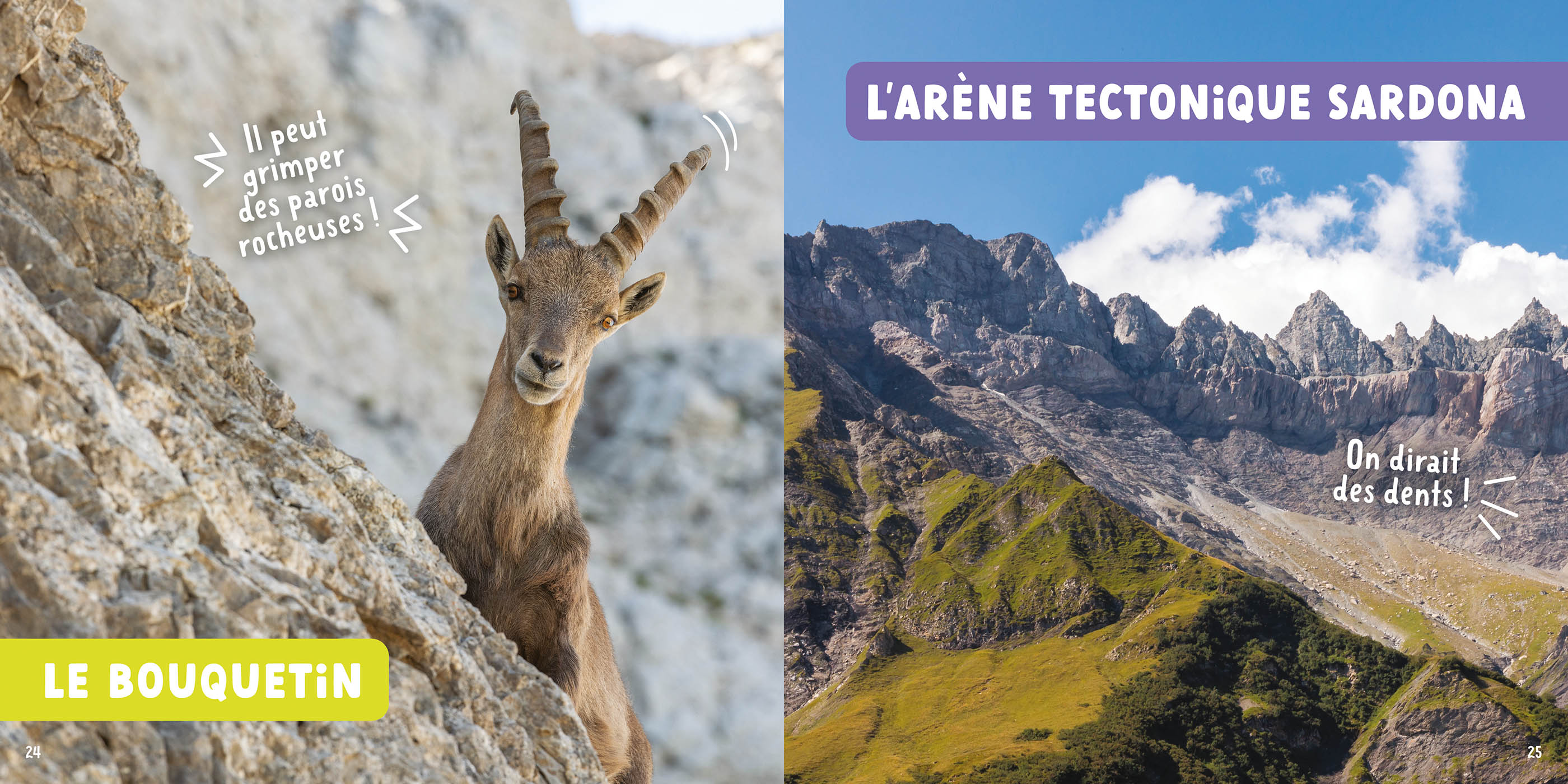 Mon Premier Doc Photo - Mon Premier Doc Photo  - La Nature En Suisse