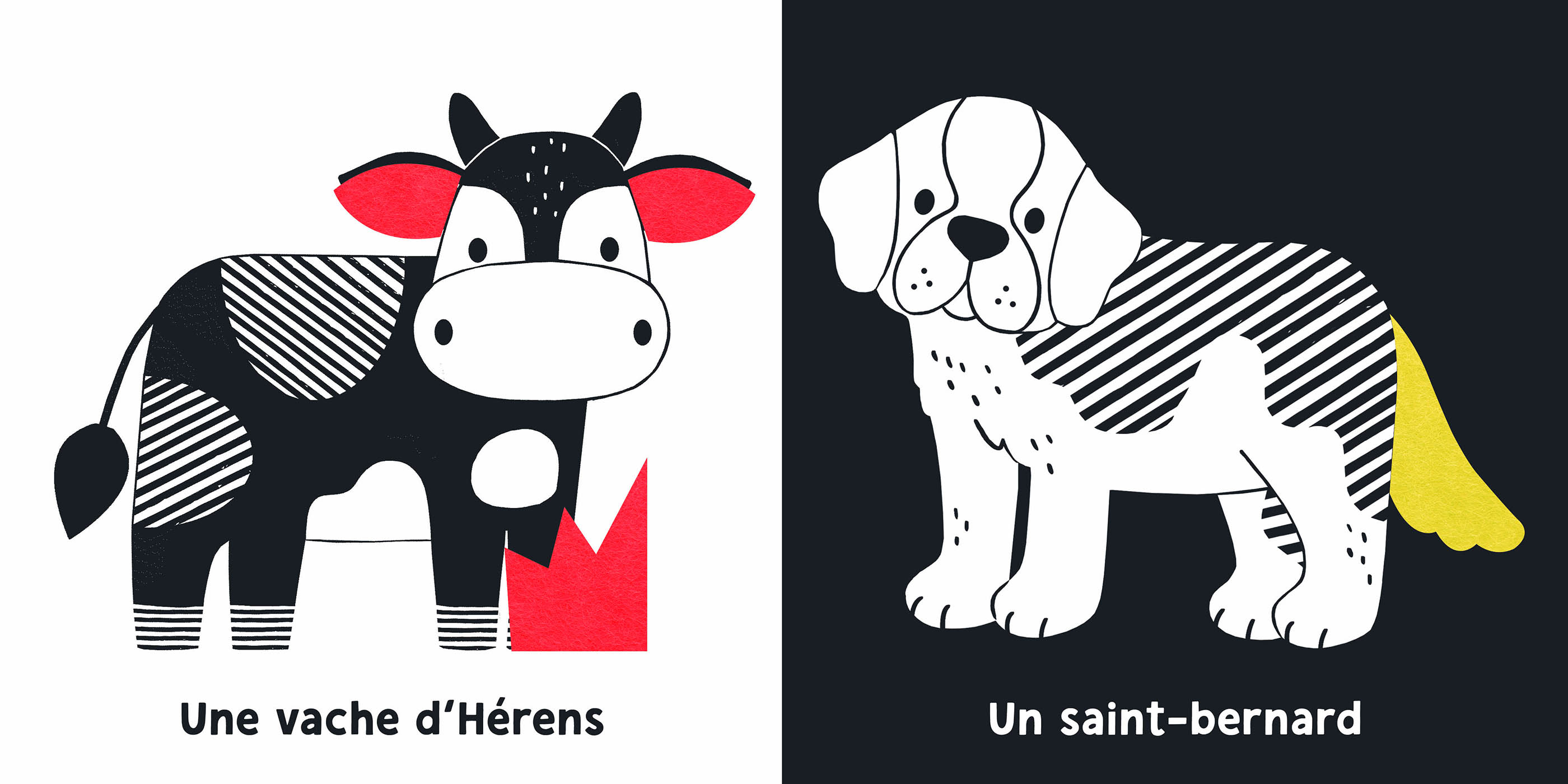 Mes Premiers Flaps - Mes Premiers Flaps - Mon Premier Flap Feutrines - Les Animaux De Suisse
