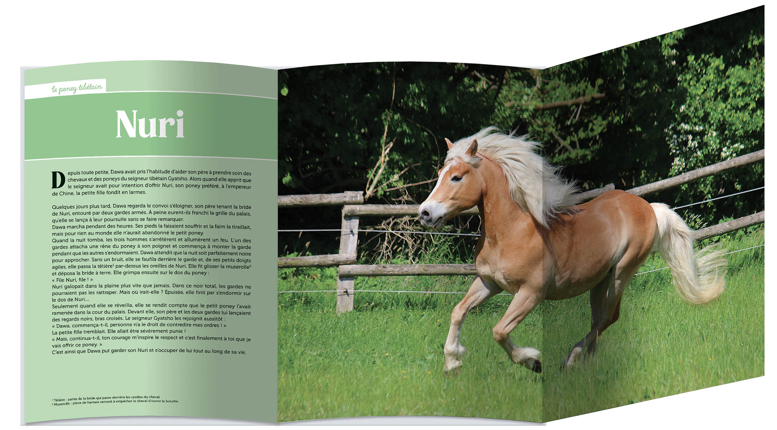 Mes Plus Belles Histoires De Poneys Mes Plus Belles Histoires De Poneys
