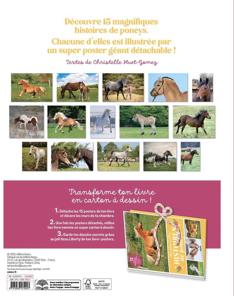 Mes Plus Belles Histoires De Poneys