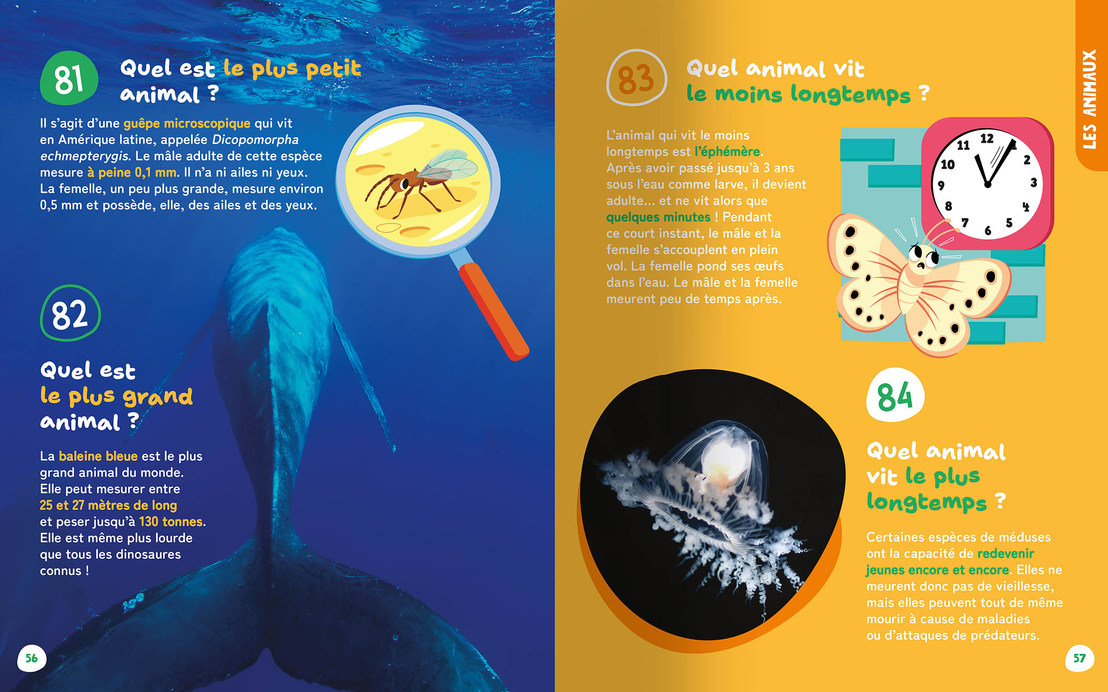 Les Petites Et Grandes Questions De Mes 3-6 Ans