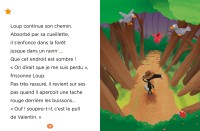 Mes Lectures Du Cp Avec Loup - Mes Lectures Du Ce1 Loup - Loup S'est Perdu