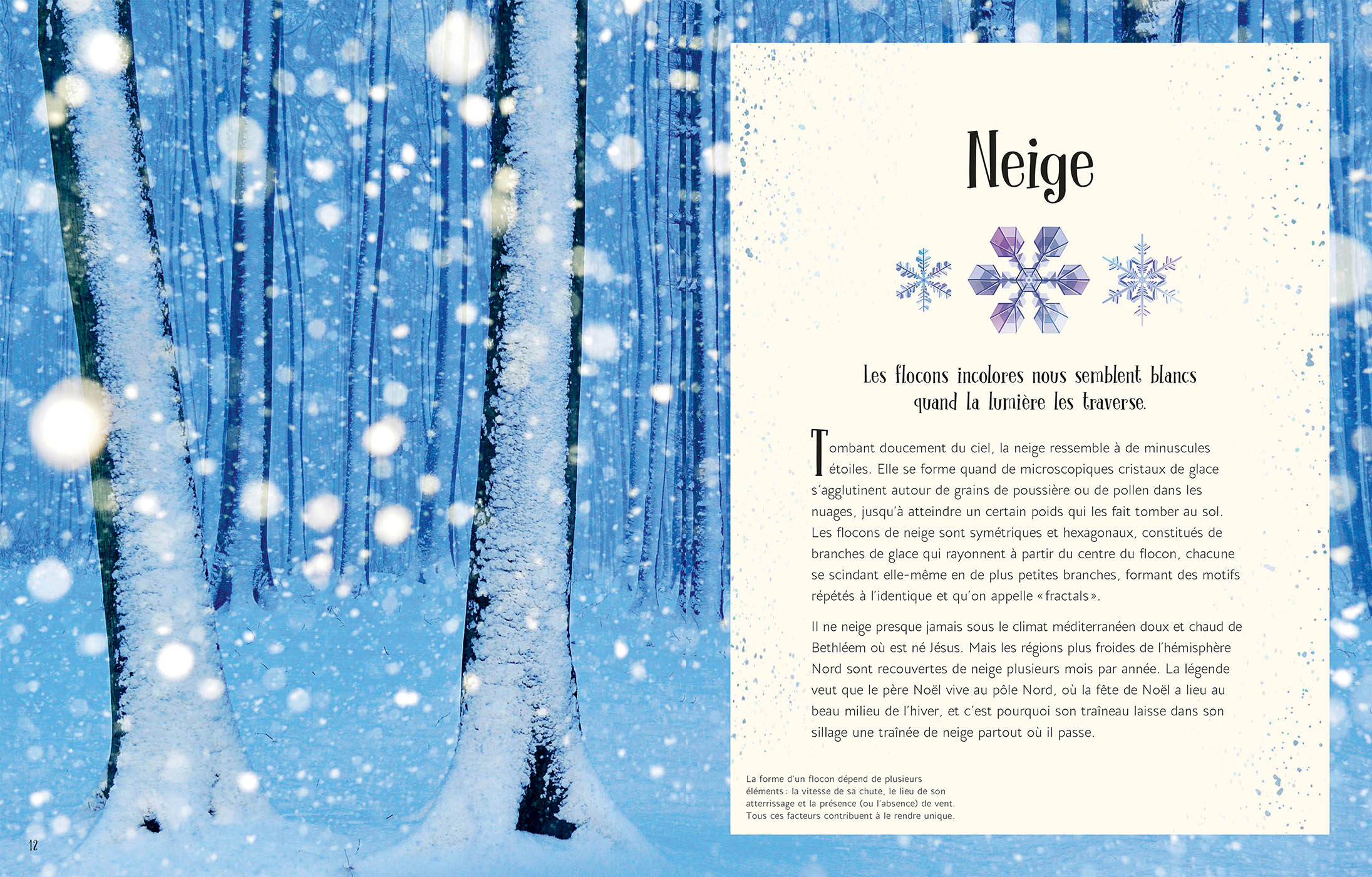 L'anthologie Illustrée De Noël L'anthologie Illustrée De Noël
