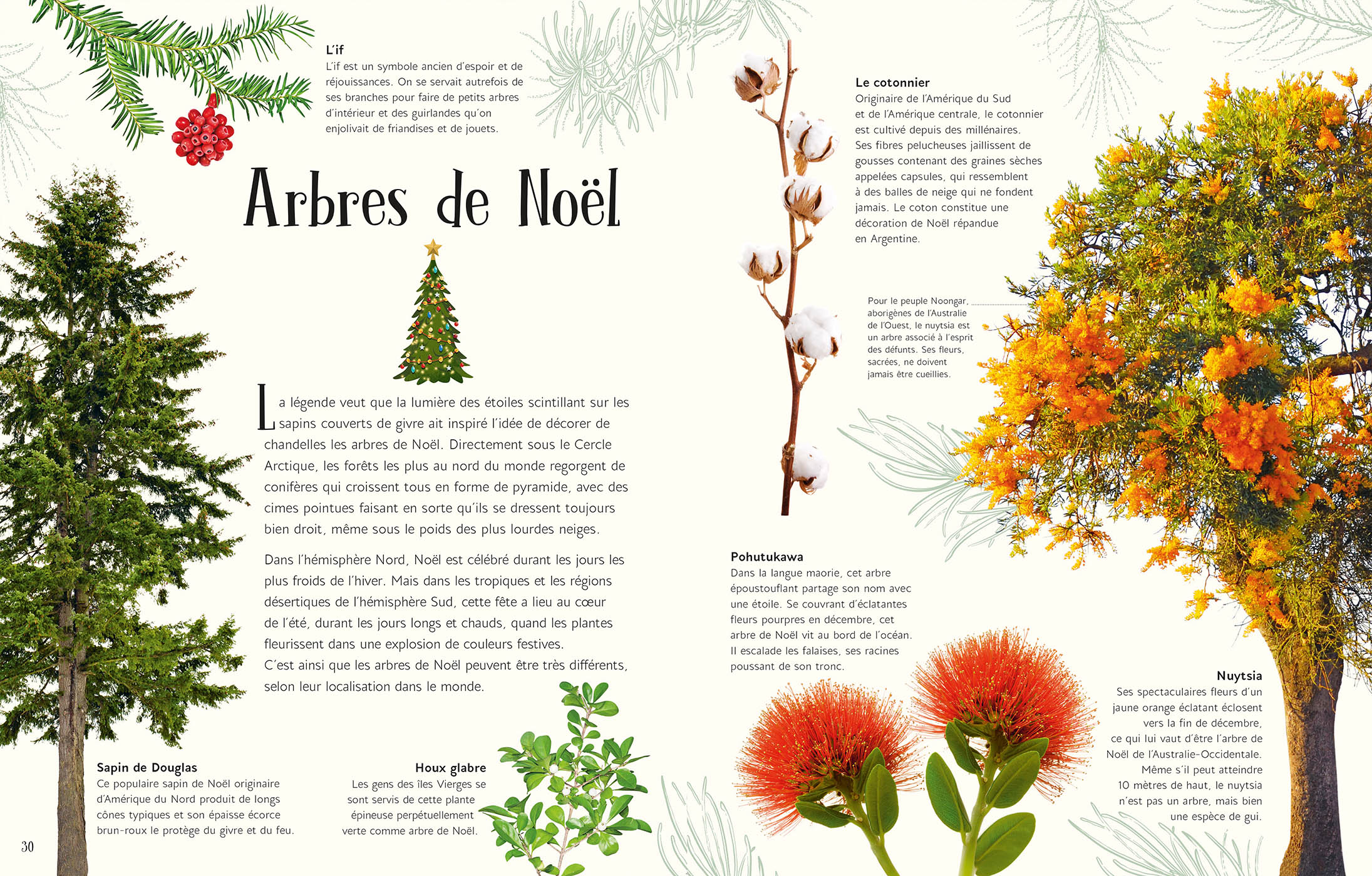 L'anthologie Illustrée De Noël