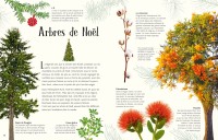 L'anthologie Illustrée De Noël L'anthologie Illustrée De Noël