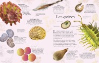 L'anthologie Illustrée De La Vie Microscopique L'anthologie Illustrée De La Vie Microscopique