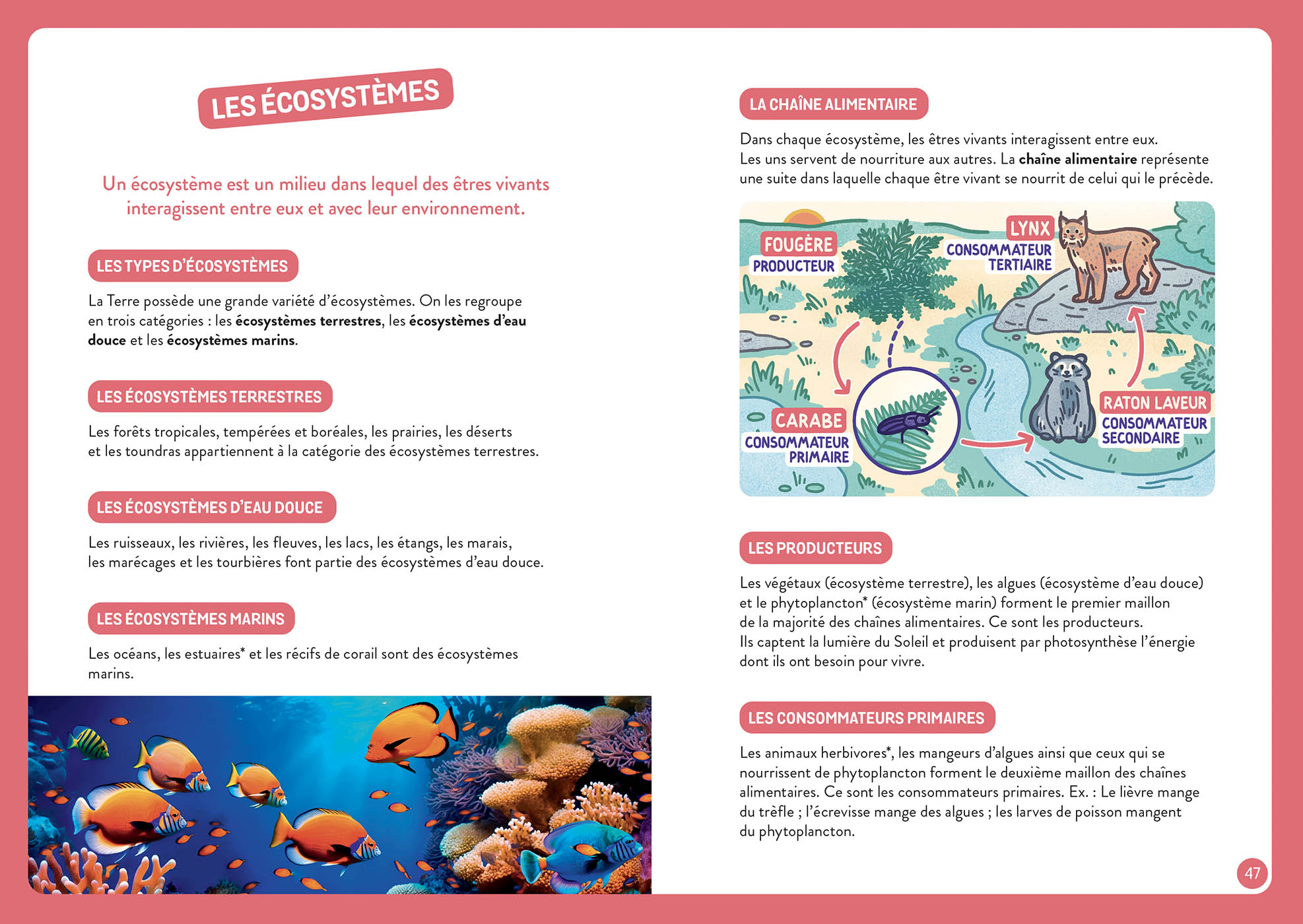 À La Découverte De La Terre À La Découverte De La Terre