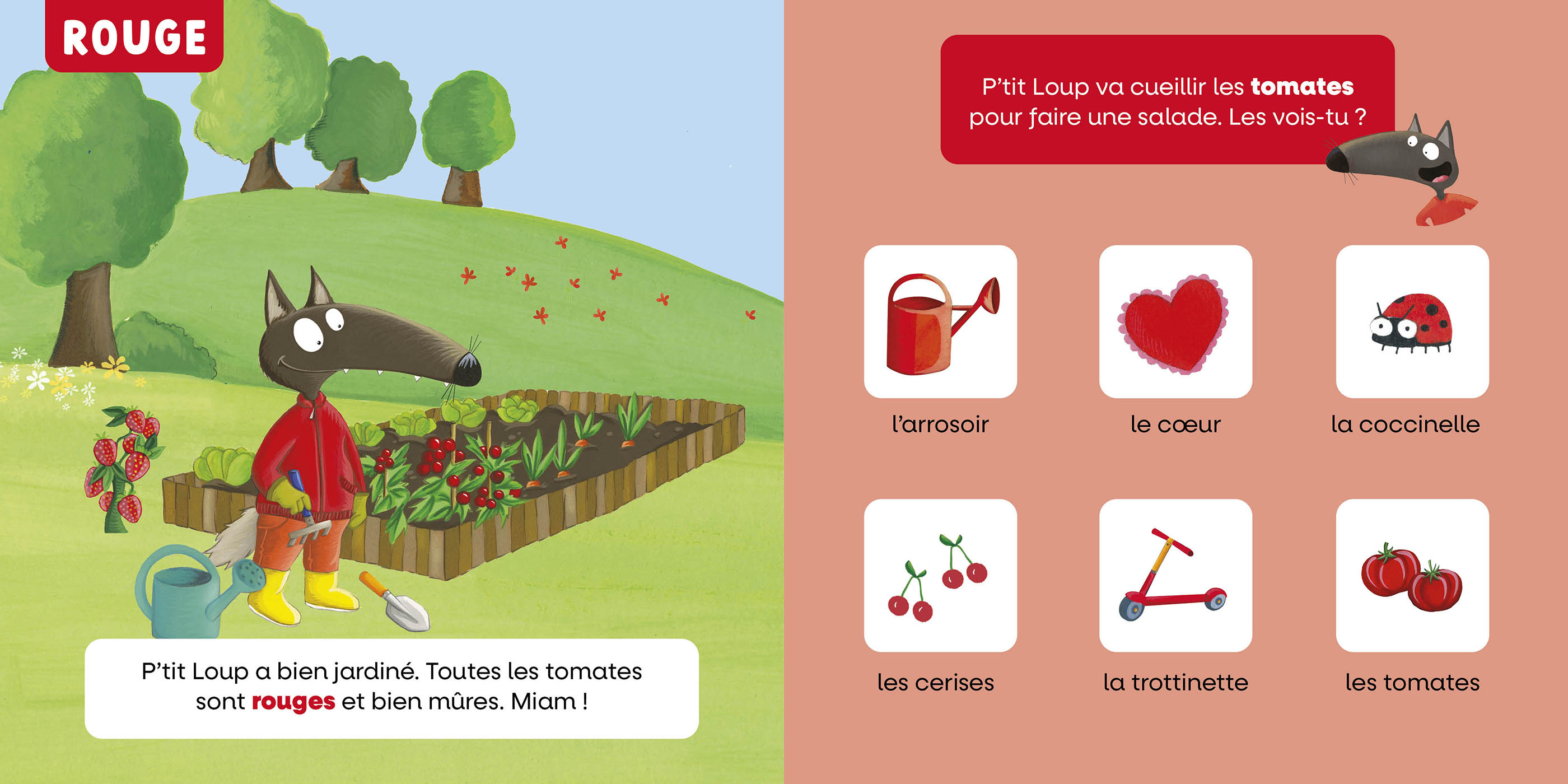 Mon Premier Livre Pour Apprendre - Les Couleurs Mon Premier Livre Pour Apprendre - Les Couleurs