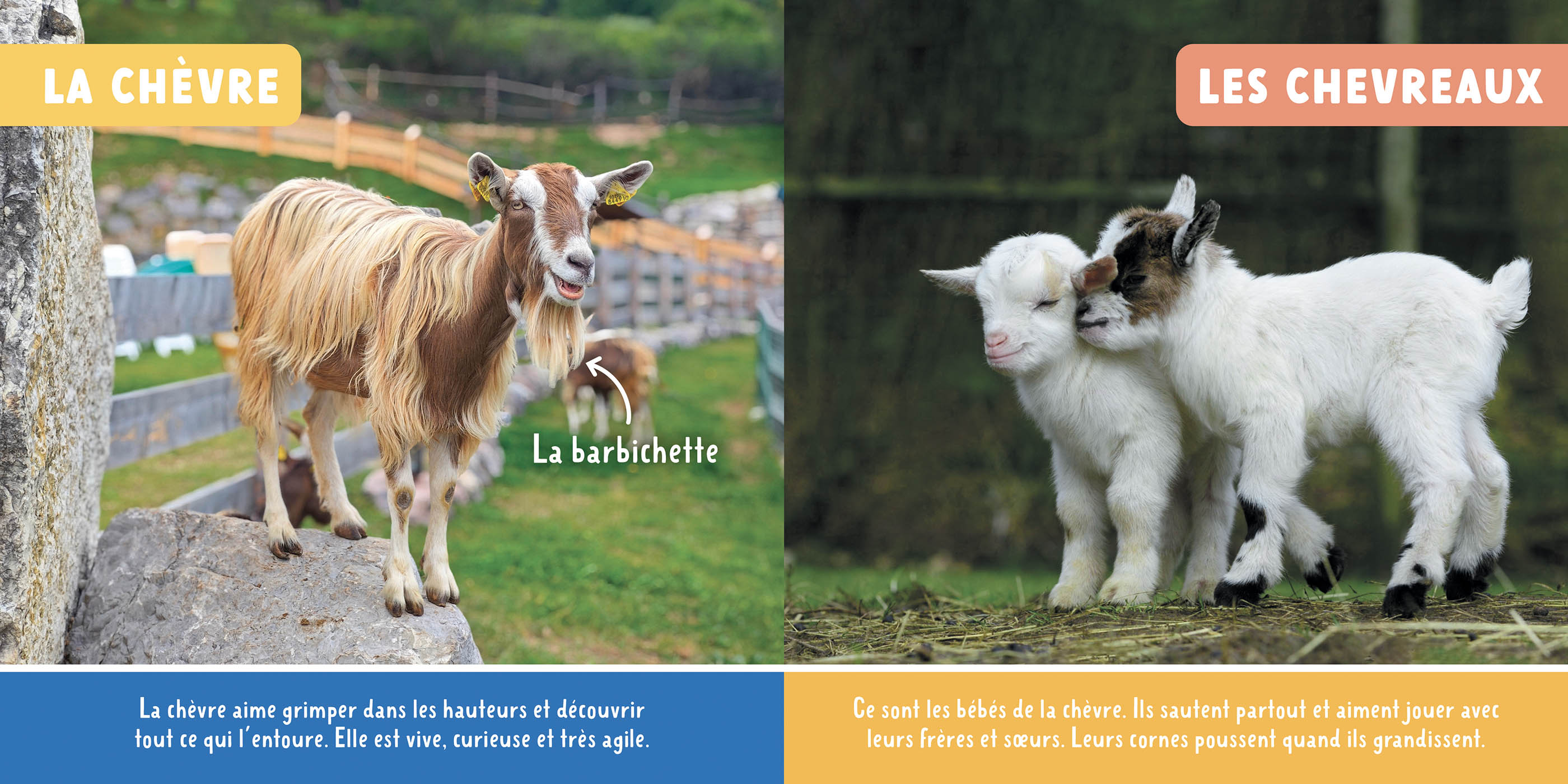 Mon Premier Doc Photo - Les Animaux De La Ferme Mon Premier Doc Photo - Les Animaux De La Ferme
