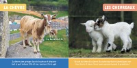 Mon Premier Doc Photo - Les Animaux De La Ferme