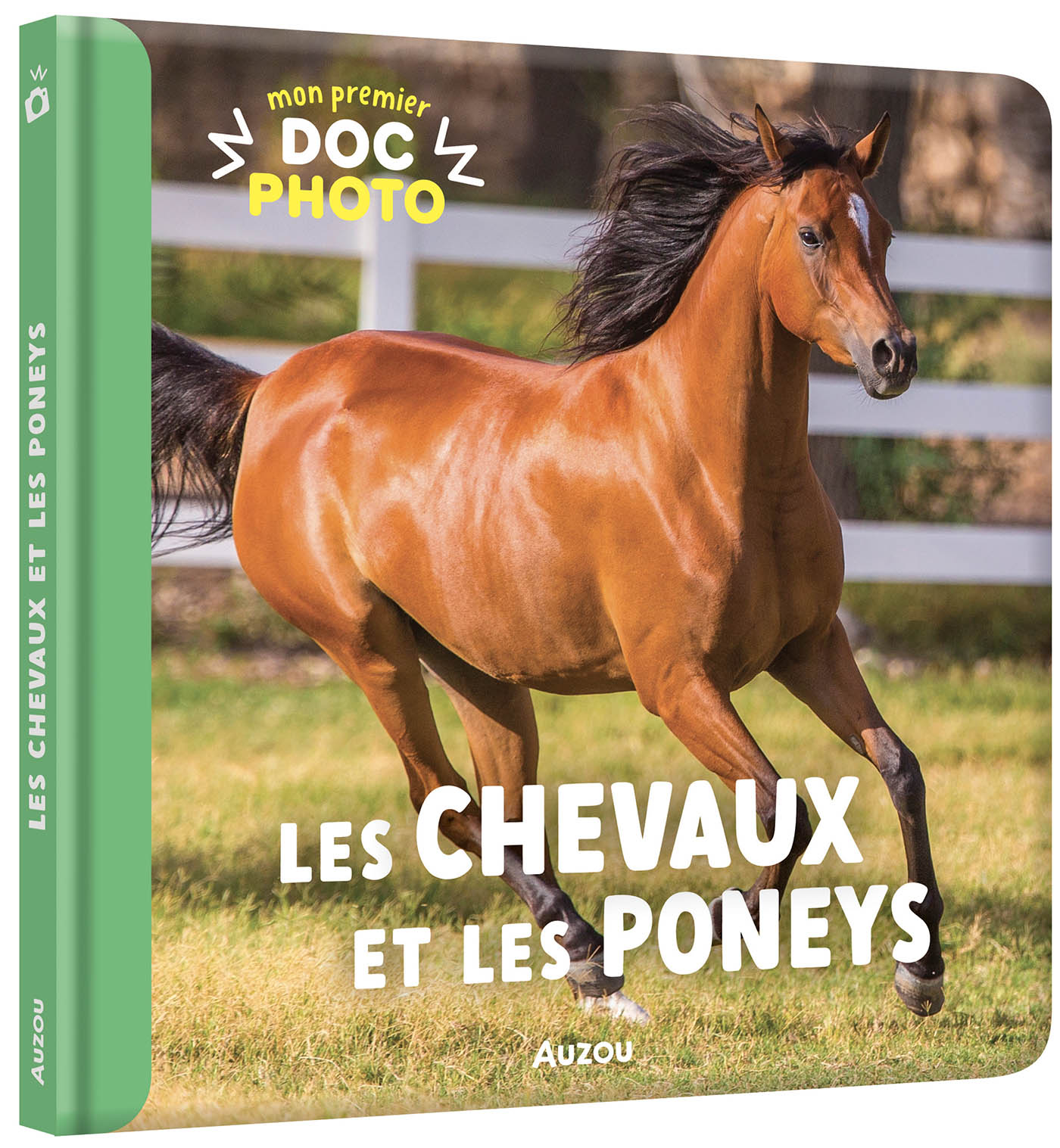 Mon Premier Doc Photo - Les Chevaux Et Les Poneys Mon Premier Doc Photo - Les Chevaux Et Les Poneys