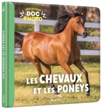 Mon premier doc photo - Les chevaux et les poneys