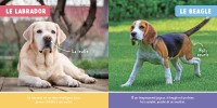 Mon Premier Doc Photo - Les Animaux De Compagnie Mon Premier Doc Photo - Les Animaux De Compagnie